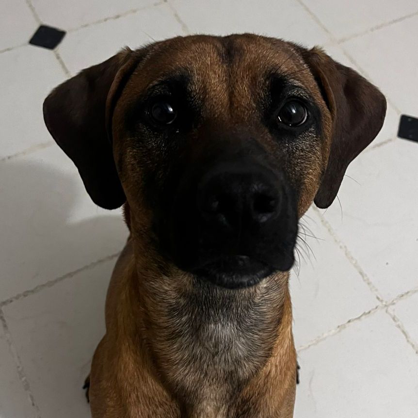 Milo