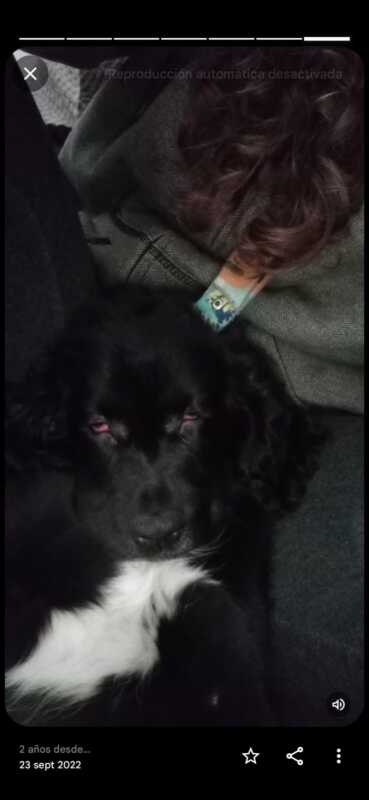 CHARLIE