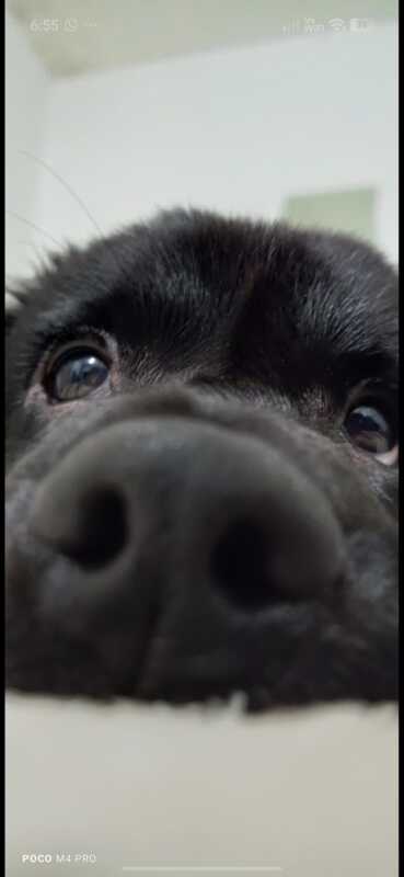 CHARLIE