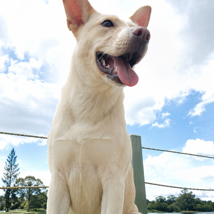 Luna