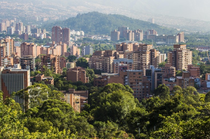 Antioquia se une para combatir el tráfico ilegal de fauna en Semana Santa