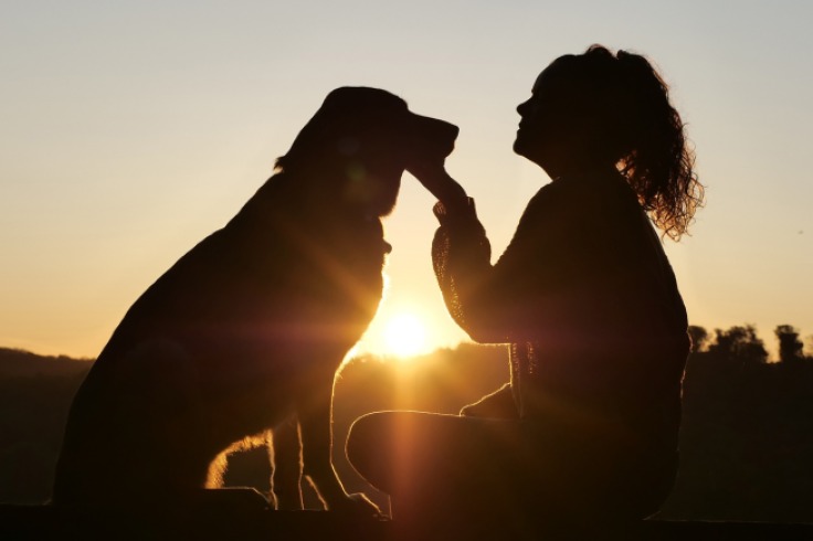 Mujer descubre una amistad inesperada entre sus mascotas