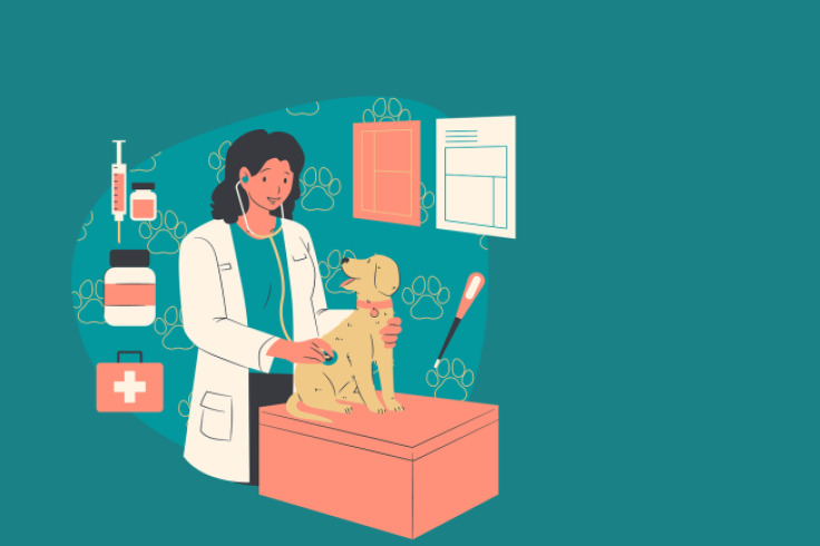 Cómo acceder al nuevo servicio de unidad móvil veterinaria en Ciudad Bolívar