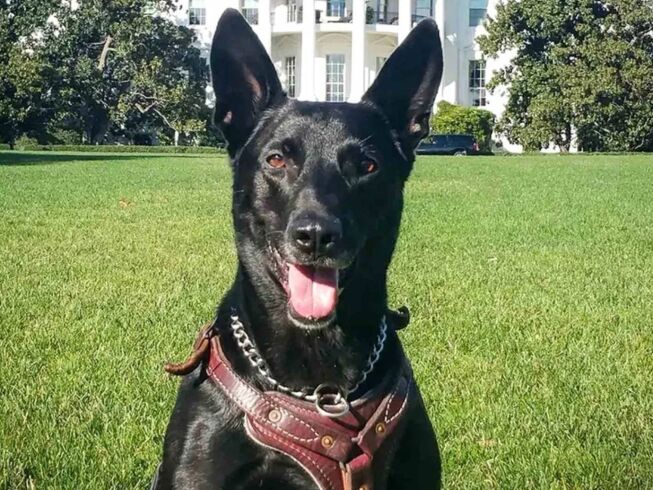 Murió Huracán, héroe que protegió a Obama