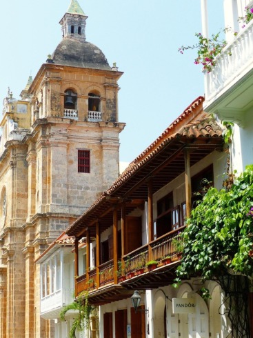 Turistas denuncian maltrato de caballos en Cartagena