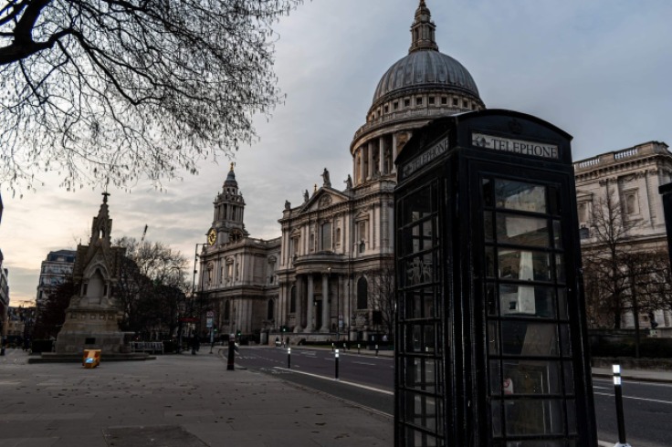 Buscan asistente personal para un gato en Londres por lucrativa suma