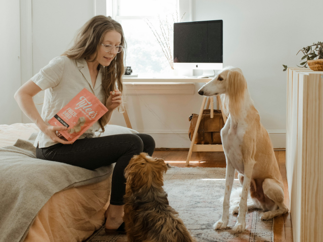 Entrenamiento positivo: la clave para una relación armoniosa con tu mascota