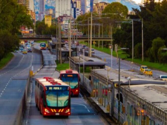 Rescate de un perrito abandonado en TransMilenio