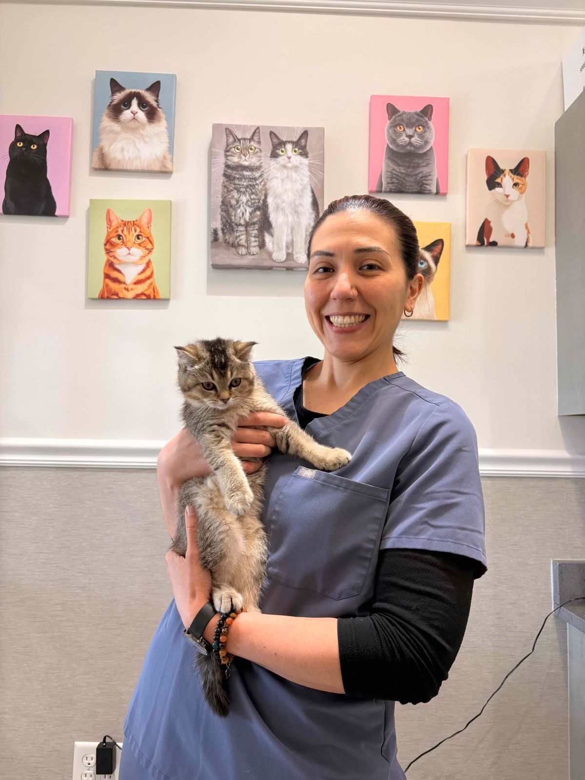 Veterinaria sosteniendo a un gatito durante un chequeo en la clínica