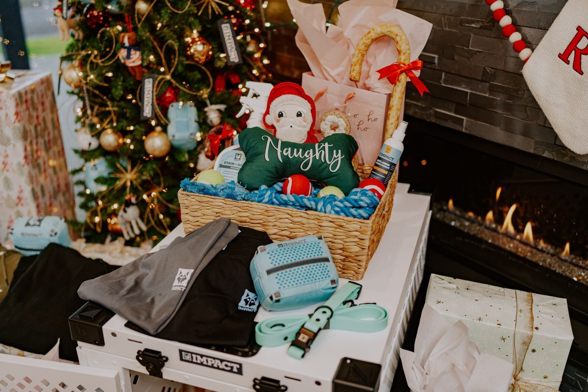 Canasta de regalo para mascotas junto a la chimenea y el árbol de Navidad