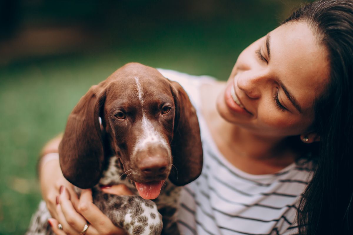 Tijuana lanza el RUAC y una plataforma de adopción: cómo registrar a tu mascota y adoptar (2026)