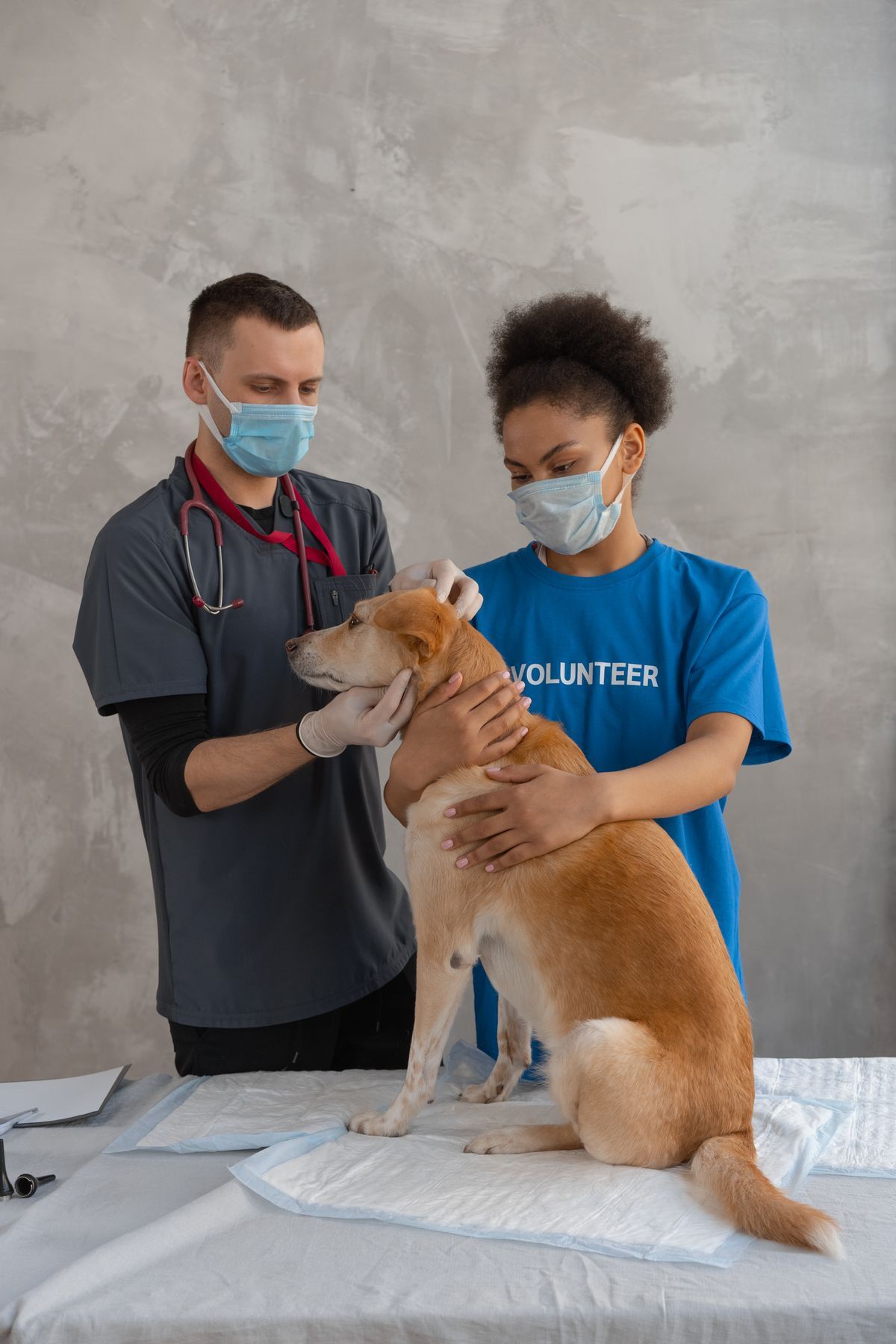 Familia feliz con su perro adoptado ya adaptado al hogar después de tres meses