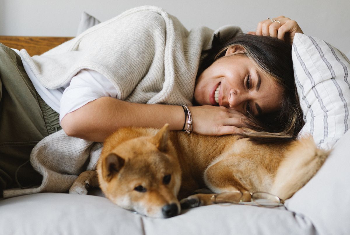 Adoptar un cachorro o un perro adulto: cuál conviene según tu vida