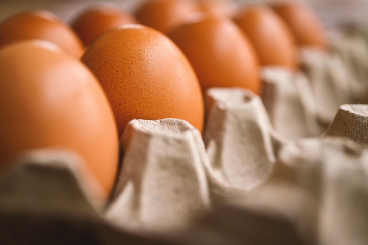 ¿Por qué las gallinas se comen sus huevos?: cinco razones