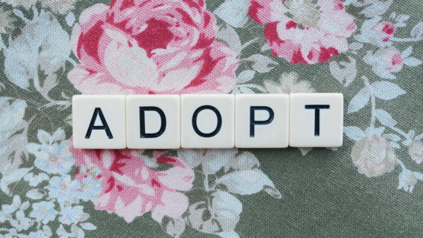 Adoptan un perro que resulta ser hijo del anterior