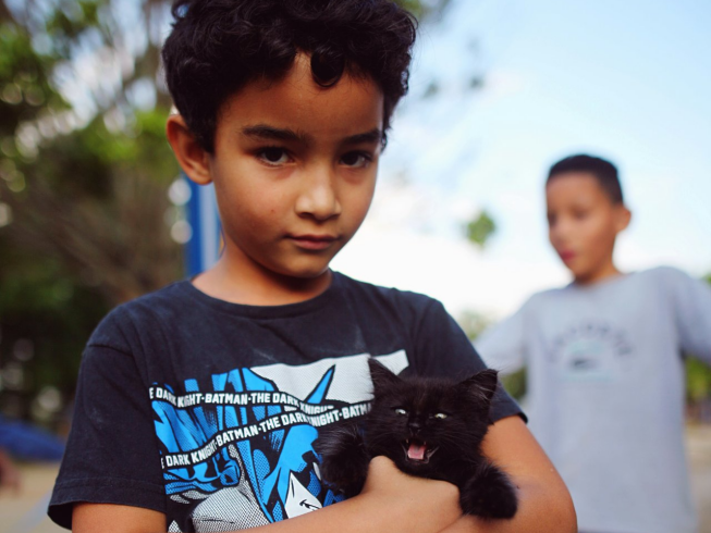 ¿Qué somos para los gatos?