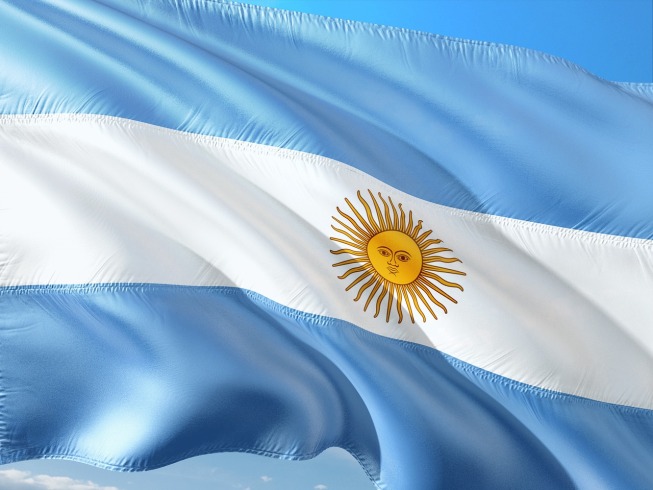Comerciante en Argentina convierte su tienda en refugio para perros callejeros