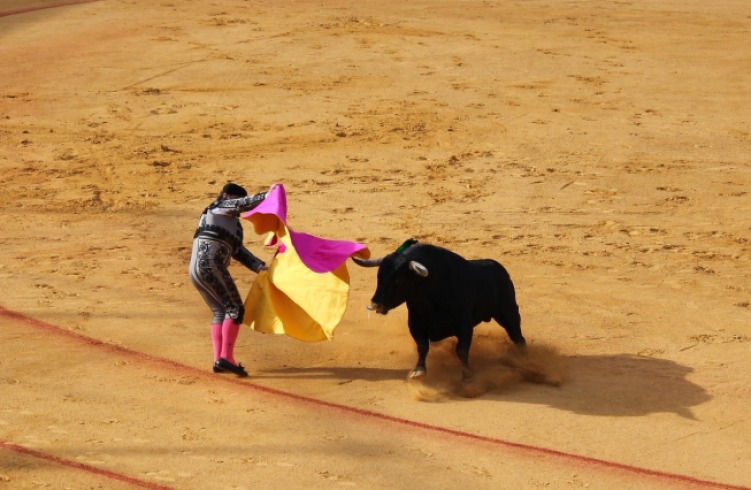 Corte Constitucional decidirá el futuro de la tauromaquia en Colombia: una encrucijada jurídica y ética
